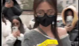 911八卦爆料在线吃瓜,在线吃瓜，揭秘娱乐圈幕后真相